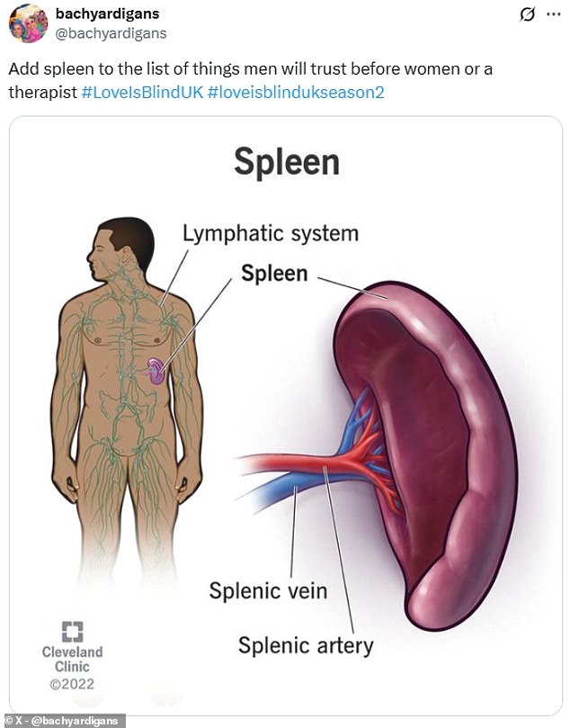 One Love Is Blind UK viewer joked: 'Add spleen to the list of things men will trust before women or a therapist'