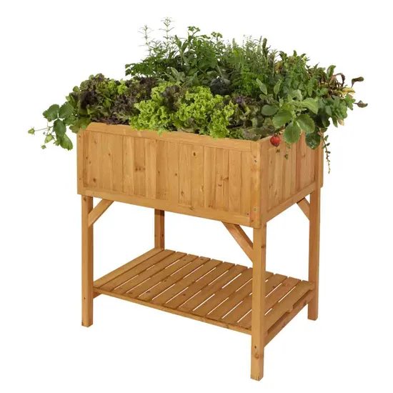Wooden raised garden bed with herbs and lettuce.