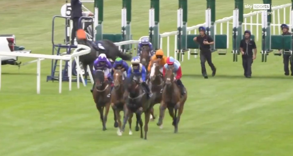 Horse race underway.