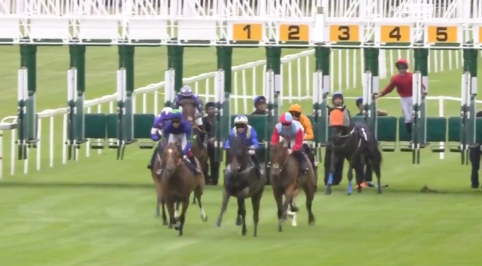 Horse race in progress.