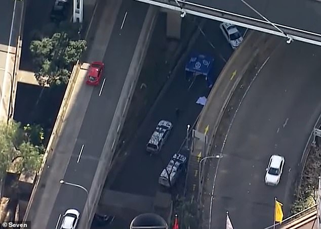 Police shut down two southbound lanes from Sydney Harbour Bridge following the couple's death