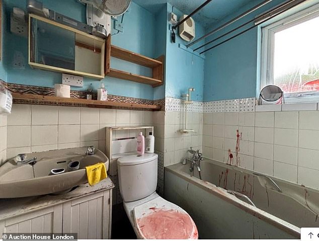 The feature that might make buyers want to think twice appears in pictures of the bathroom, which people joked resembles the scene of a horror film