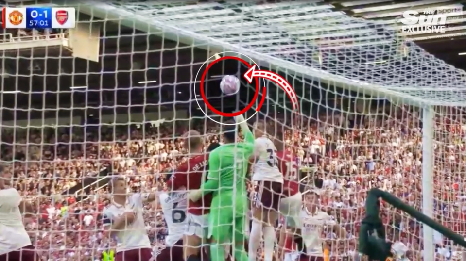 Screenshot of a soccer goal.