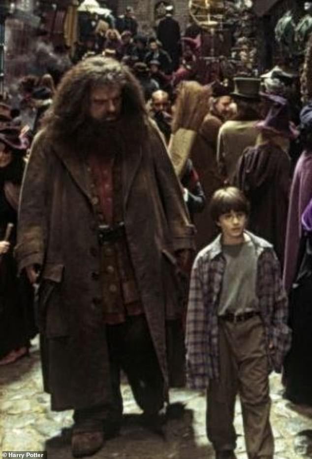 The new images match their characters' descriptions in the movies and books (original film)