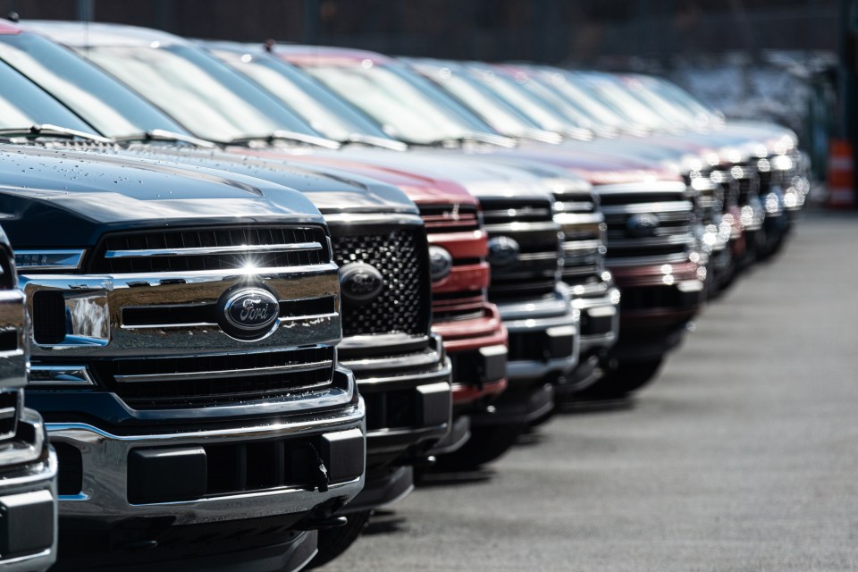Row of Ford F-150 pickup trucks at a dealership.