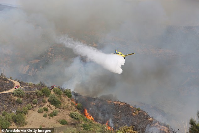This marks Spain's worst-ever fire season since records began in 2006. It has eclipsed 2022's case, when 306,000 hectares were burned