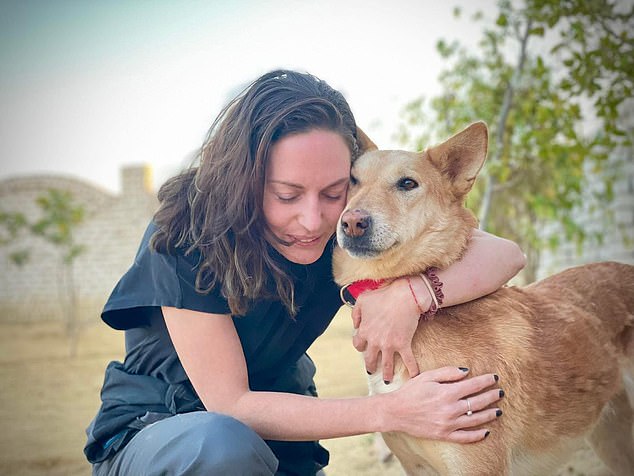 Claire and her friend now keep the dogs at their sanctuary in Egypt where the dogs have a safe home