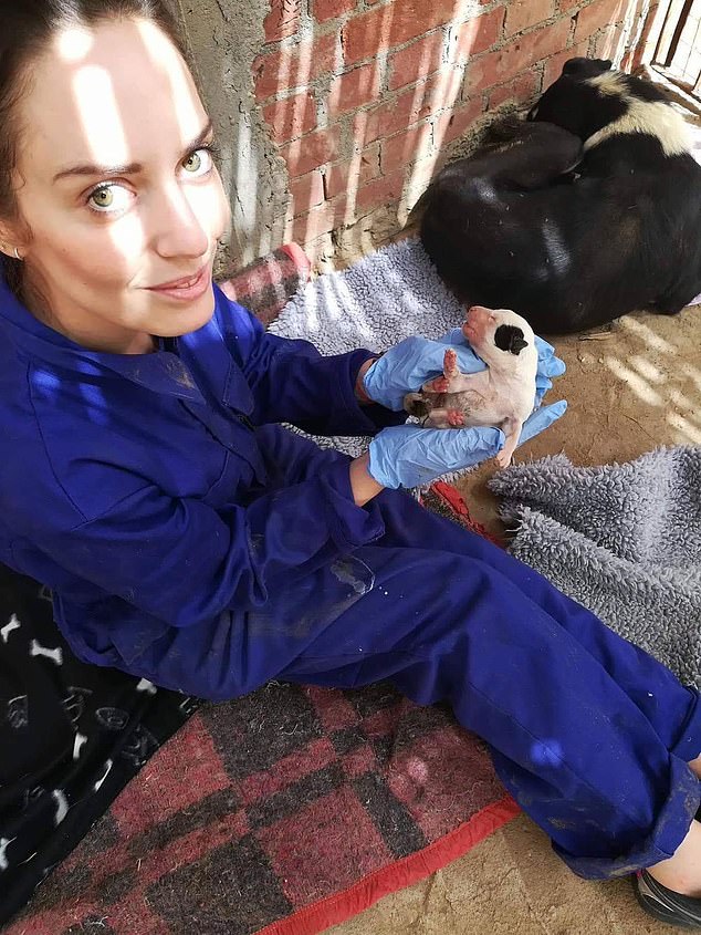 The dogs at the sanctuary are now looked after by Sanaa and Claire when she comes to visit
