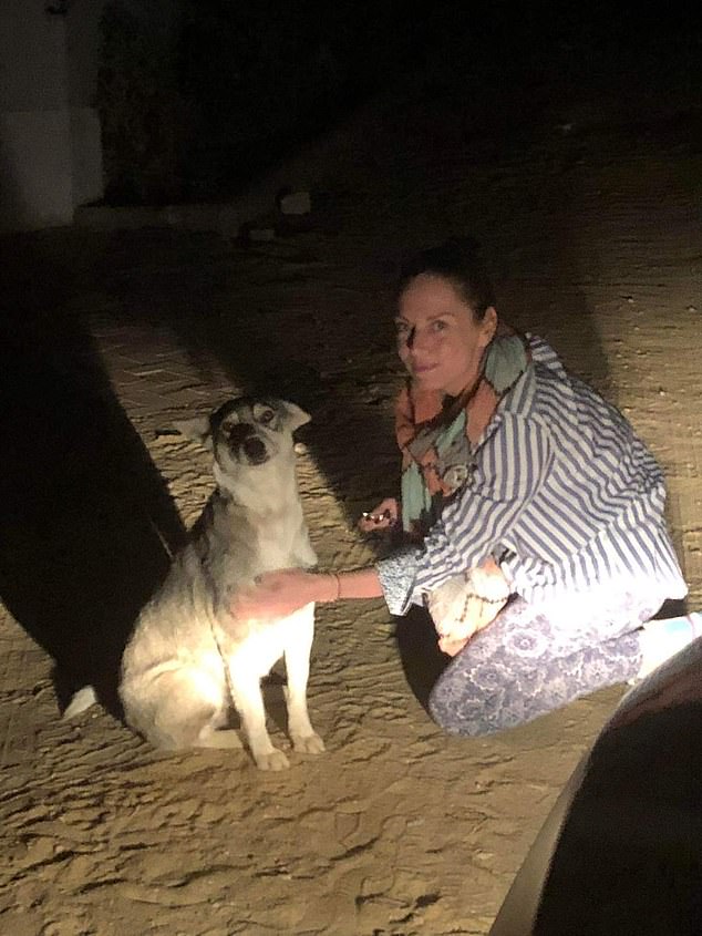 Dogs in Egypt are often left to live in the streets where they face the dangers of disease and are often mistreated by humans