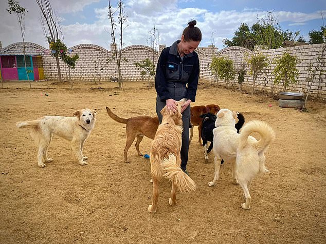 Claire with some of her dogs at the Paws Crossed Survivors sanctuary in Egypt