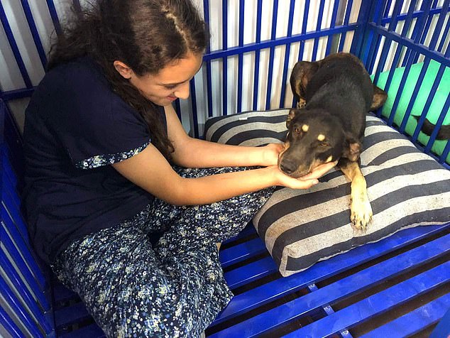 Sanaa with one of the dogs at the sanctuary which they are helping to treat