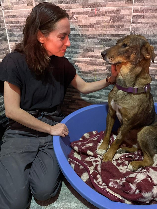 Claire with one of the dogs at the sanctuary, where they now fundraise to provide a safe place for them