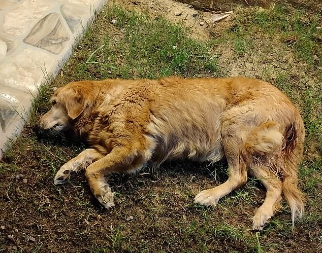Hope had an infection of her uterus as well as sepsis and her organs were all failing when she was found