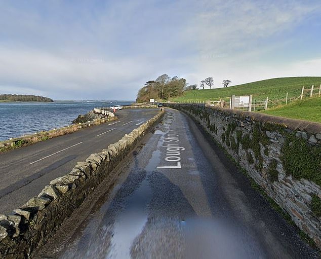Ms Minford said that CCTV shows Milligan downing pints of beer in a bar in the town on the night Lucas was killed. Pictured: The Strand in Portaferry, close to the scene of the fatal collision.