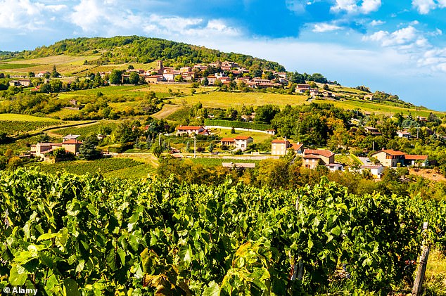 In a quiet revolution, Beaujolais has become one of the best places for up-and-coming winemakers producing organic and natural vintages at rock bottom prices