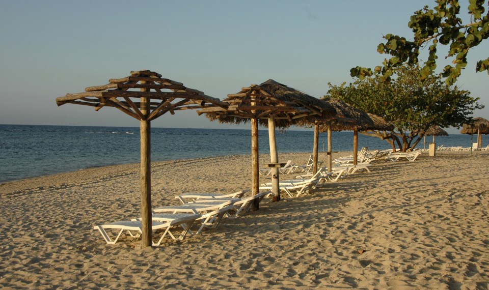Beach lounge chairs under thatched umbrellas.