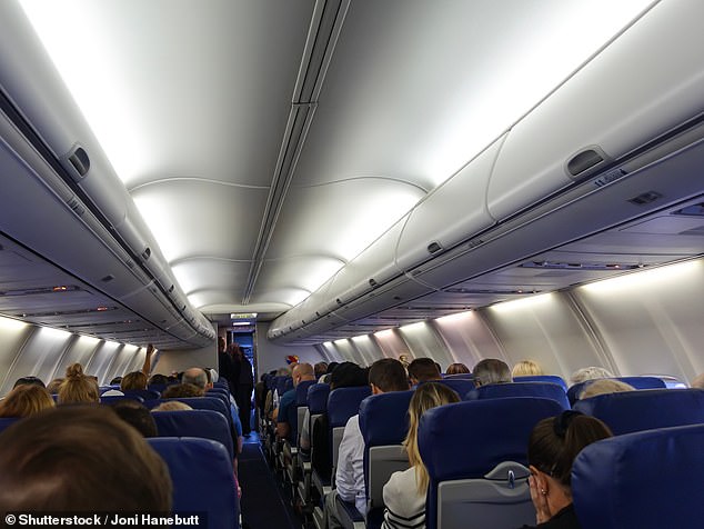 The 44-year-old married man attacked the teenager, who was sitting next to him, after she fell asleep during the nine-hour journey from Mumbai to Zurich (stock image)