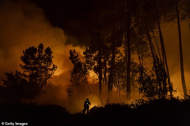 A member of the Emergency Military Unit (UME) works to extinguish a wildfire next to a village on August 19, 2025 in the Ourense province, Spain