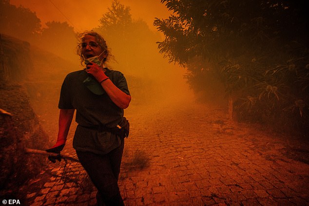 Nearly 4,000 firefighters are battling seven major fire across the country, in Tabuaço, Trancos, Sirarelhos, Sátão, Arganil, Vilarinho do Monte and Ermidas do Sado
