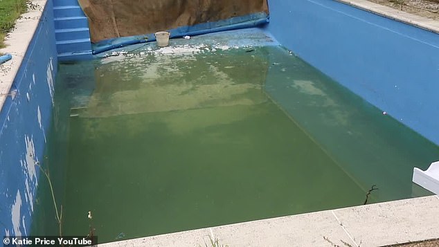 The swimming pool, as seen in a video in 2019, that Katie fenced off. She described it as 'looking a bit better than a swamp'