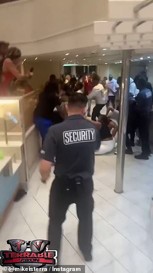 Punches landed with shoes and phones flying across the floor