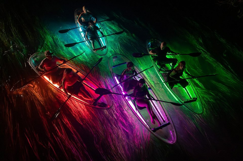 People kayaking at night in illuminated clear kayaks.