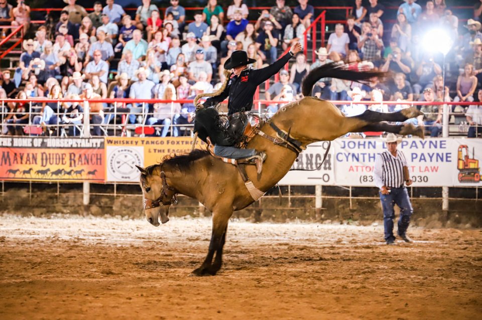 Rodeo cowboy on bucking bronco.