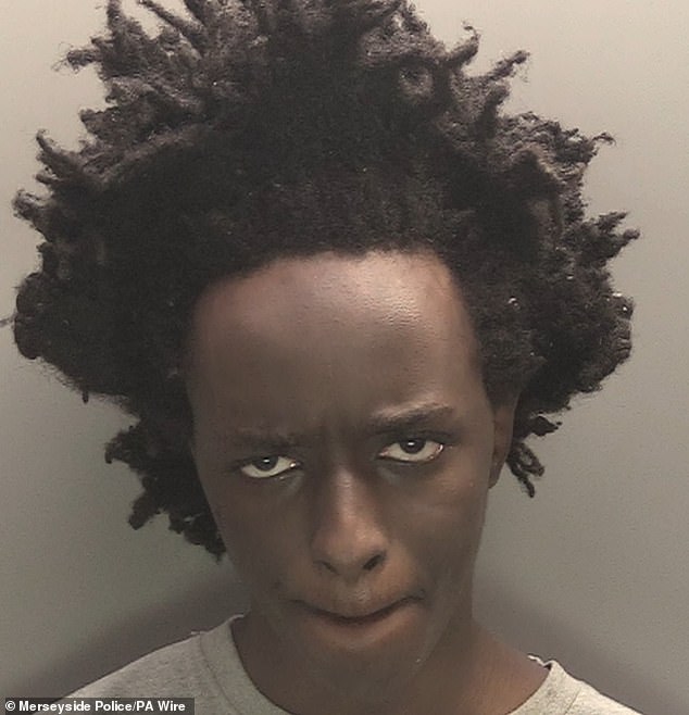 Axel Rudakubana's (pictured) murder of three little girls at a dance class in Southport led Mrs Connolly to write her online rant