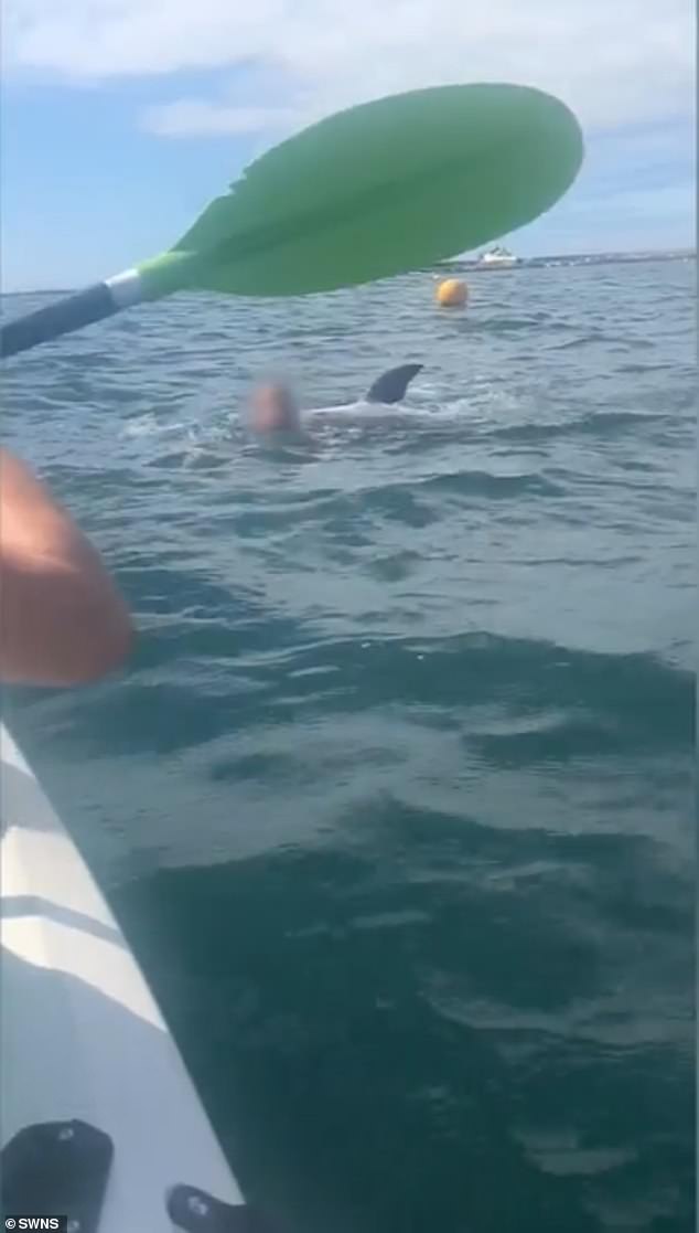 Reggie was seen jumping around the swimmer