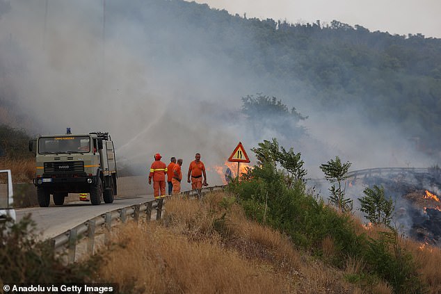 Sicily battled six separate wildfires in just one week in July and the island has continued to be affected by intense heat