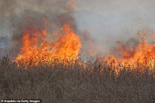 Last month Italy banned outdoor work in the hottest parts of the day in over half of its regions as unbearable heat gripped large swathes of Europe