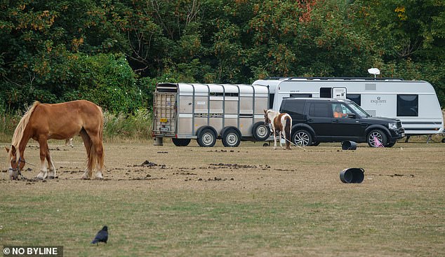 Deb Garcha, 63, a retired teacher who has lived in the affluent borough for 11 years, told the Daily Mail that the local community have been left feeling 'confused and fed up' that the travellers have returned to the site