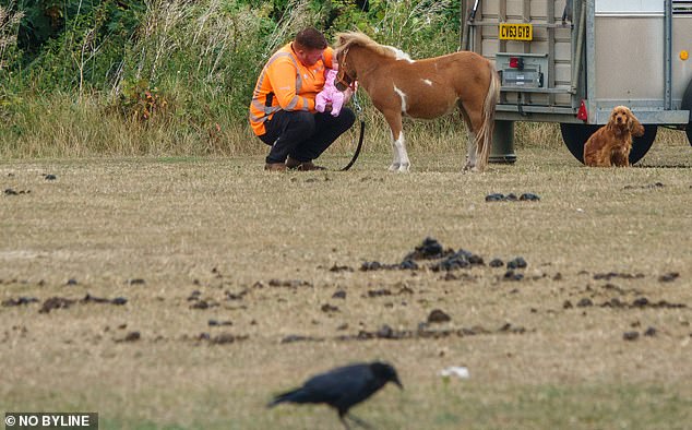 Amid the caravans and cars, horse faeces are seen littered across the grass. Ms Garcha added: 'If you want to come for a few days all I ask is be considerate to all of us and take your rubbish'