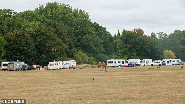 The shocking images come as the number of 'illegal' traveller sites being set up across the UK is on the rise as local councils are becoming increasingly unable to remove them, a planning enforcement officer has claimed