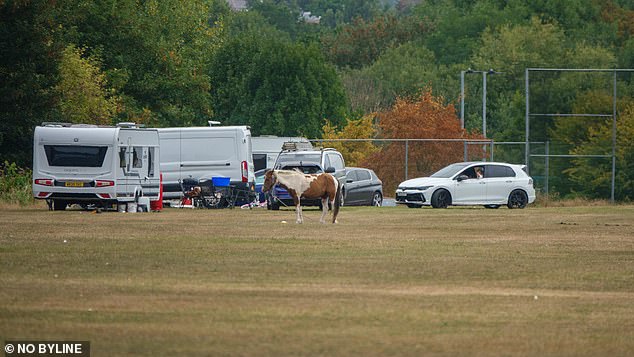 Pictured: a horse is seen outside of the numerous cars and caravans that have taken over a once peaceful woodland in north London