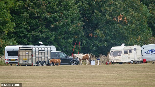 In 2018, nearby Albert Road Recreational Ground also became subject to an illegal traveller site, with three caravans, a camper van and Ford Transit spotted parked on the grass just yards from a children's playground. Pictured: the scene at Coldfall Wood park on August 21