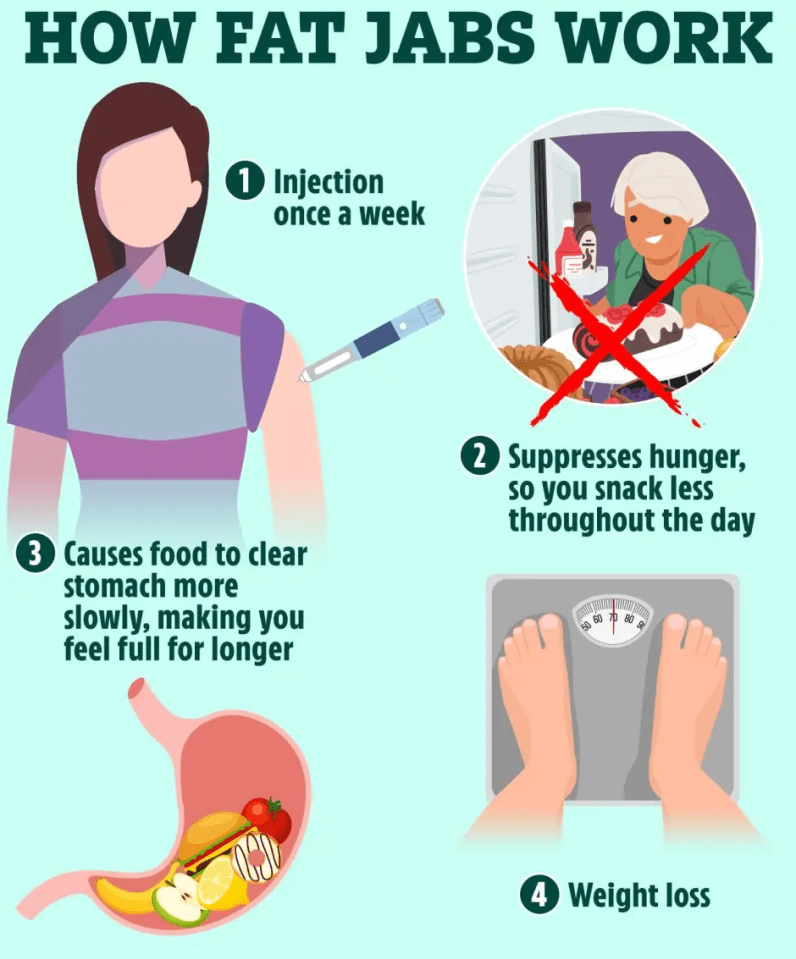 Illustration showing how fat jabs work: weekly injection, hunger suppression, slower food digestion, and weight loss.