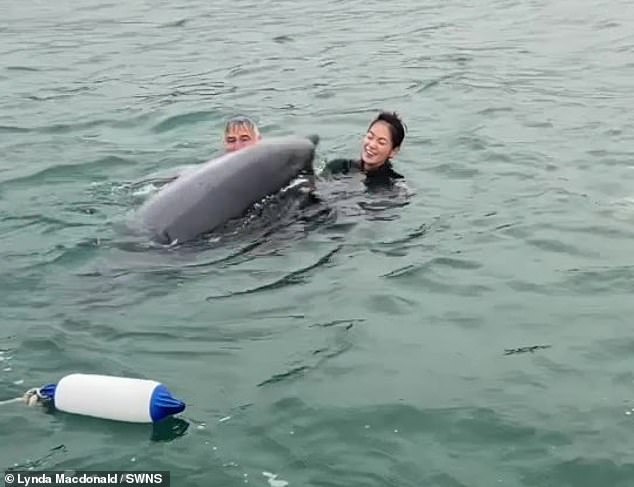 Footage from a kayak emerged of Reggie the dolphin apparently targeting swimmers in Lyme Bay