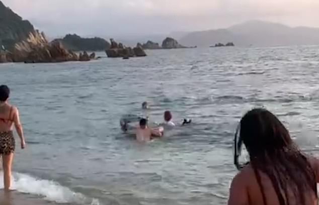 Takuma Goto was rescued by nearby surfers after he encountered a lone dolphin while swimming of the coast of central Japan