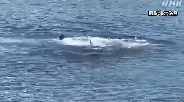The man was bitten on both arms and the back of his hand, and it is believed that the same dolphin is responsible for at least six previous attacks on the same beach