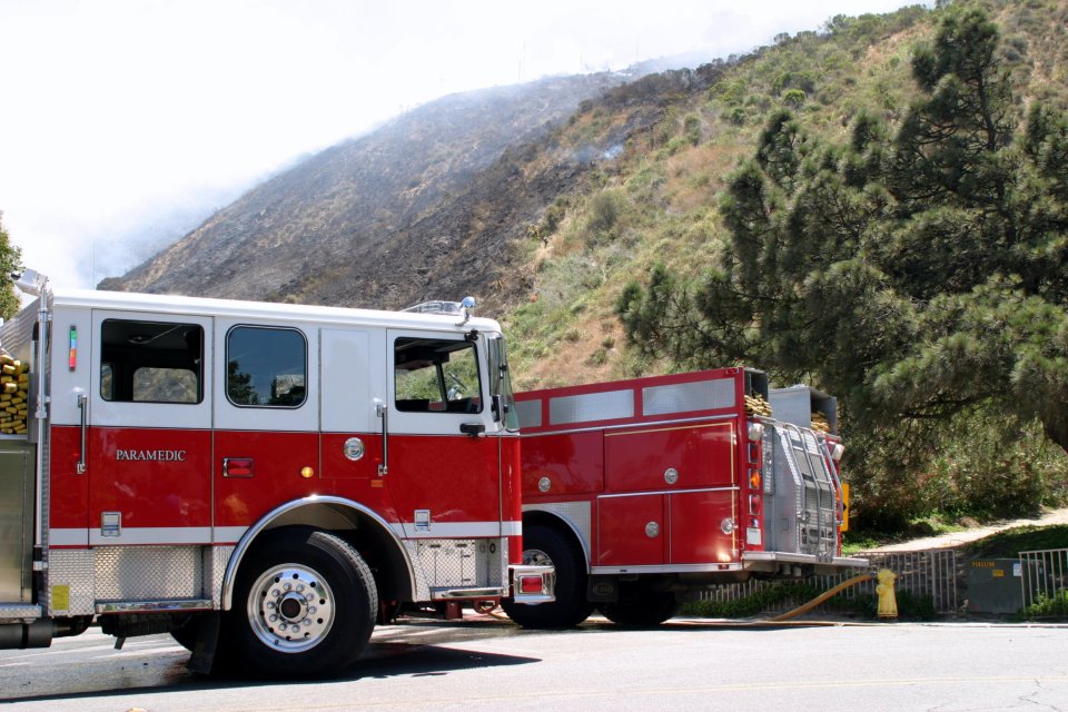 Firetrucks at a brush fire.