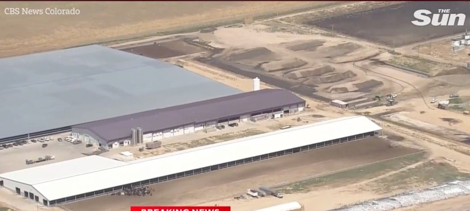 Aerial view of Prospect Valley Dairy in Keenesburg where six people were found dead.