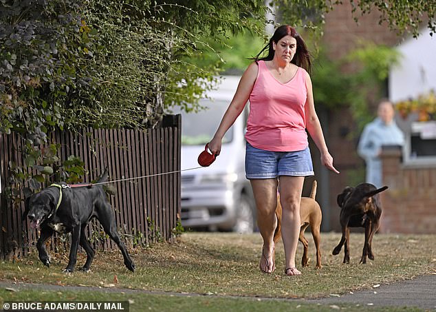 Pictured: The first picture of Lucy Connolly following her release from prison show her walking the dogs in the evening sunshine