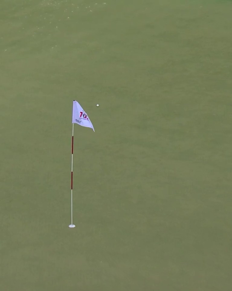 Golf ball near the hole on a green.