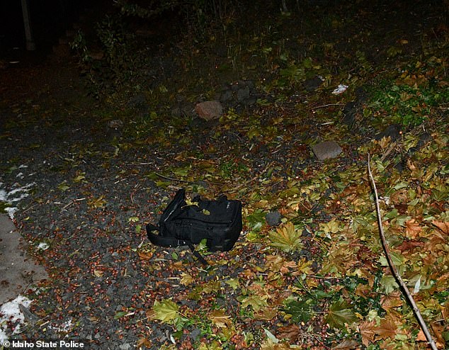 Police released this image of a black bag in the woods near the home