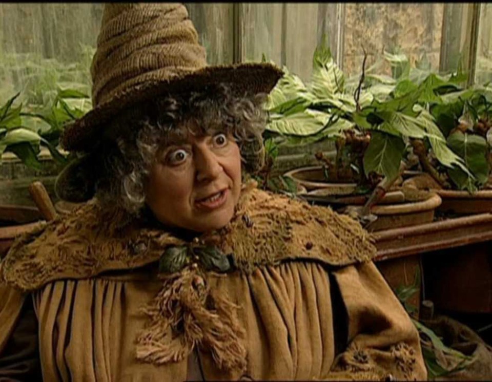 Miriam Margolyes as Professor Sprout in Harry Potter.