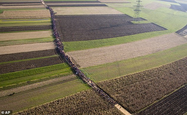 A column of migrants moves on a path between agricultural fields in Rigonce, Slovenia, after crossing from Croatia in 2015
