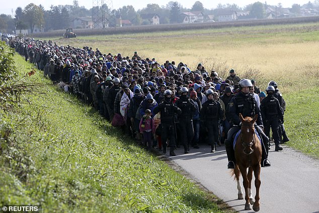 A mounted policeman leads a group of migrants near Dobova, Slovenia, on October 20, 2015