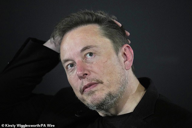 Maxwell said she met Elon Musk (above) at Google co-founder Sergey Brin's birthday party, claiming: 'We went to another friend's island and we were together for... three or four days.'