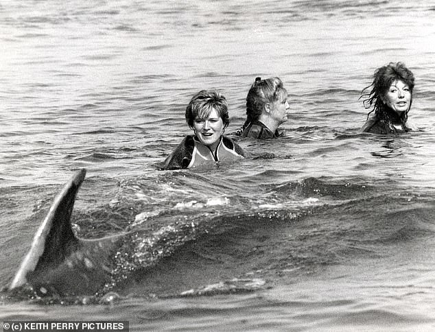 'Freddy The Friendliest Dolphin' (pictured swimming away from actress Rula Lenska) turned up in the late 1970s and, for a while, became the biggest tourist attraction in the North East